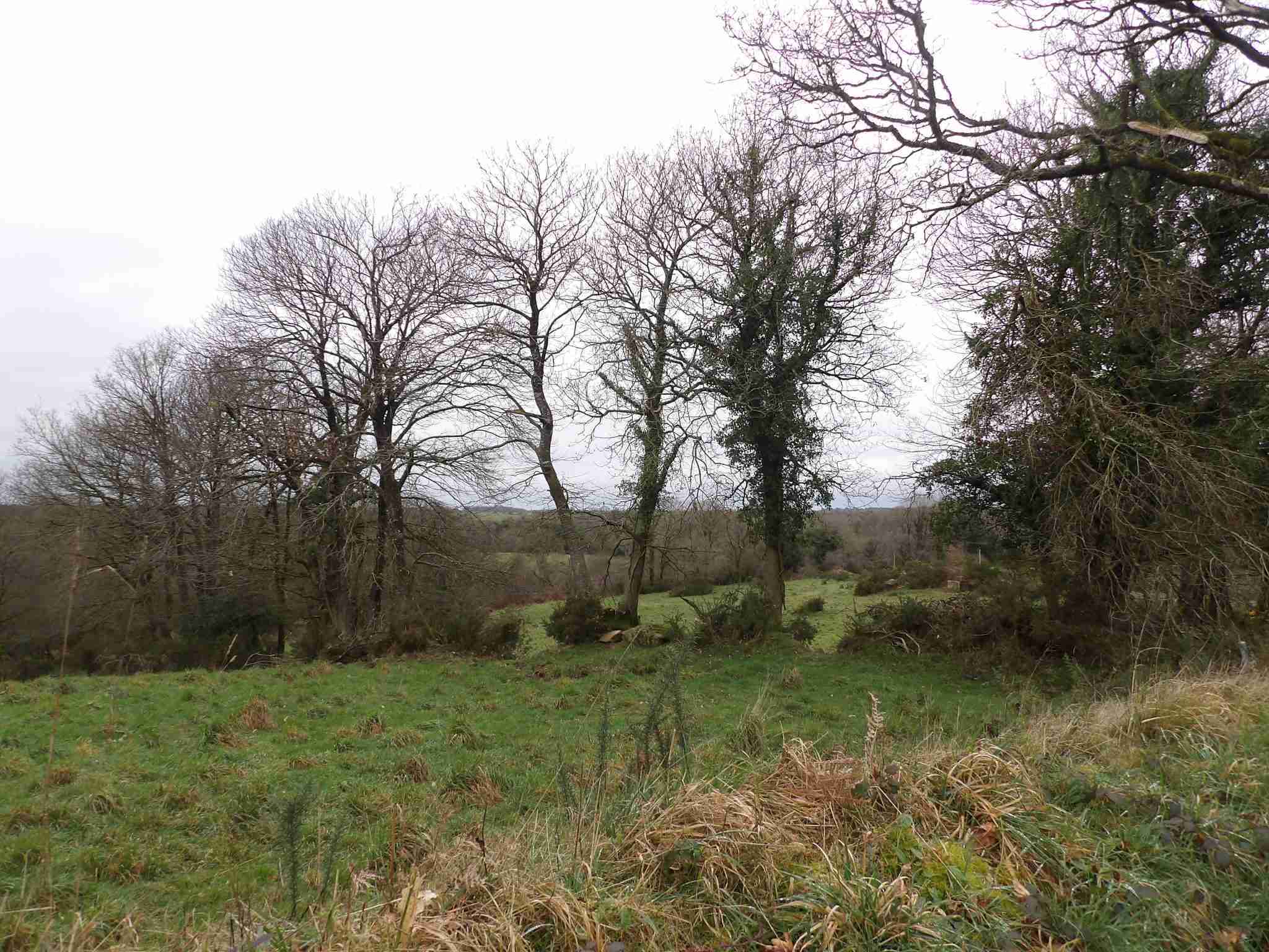 bocage