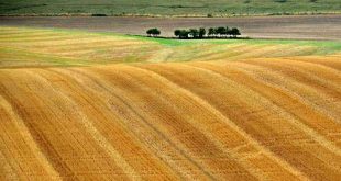 agriculteurs